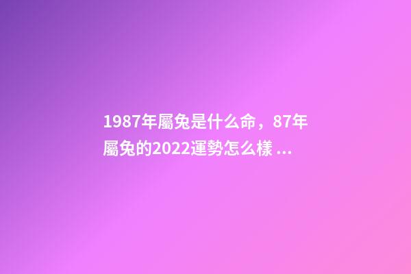 1987年屬兔是什么命，87年屬兔的2022運勢怎么樣 1987年屬兔人2022年運勢運程 1987年屬兔人2022年運勢好不好-第1張-觀點-玄機派